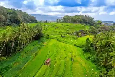 Ubud E-Bike Tour area in Bali by UNIKAT