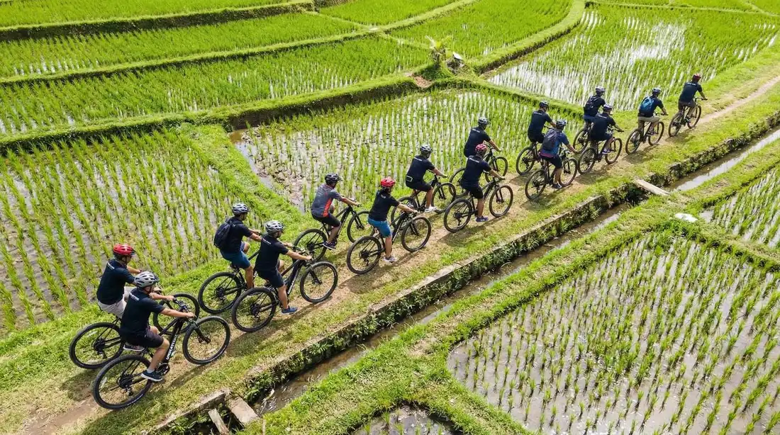 UNIKAT Custom VIP Tours โ E-Bike Tour Bali by UNIKAT